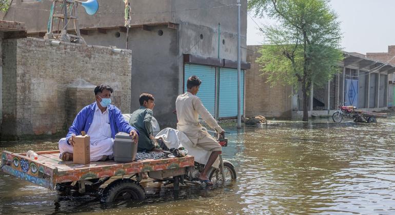 عمال الرعاية الصحية في إقليم السند في باكستان يتنقلون في القرى التي غمرتها الفيضانات ويعبرون الجسور المهدمة مع تفشي الأمراض.