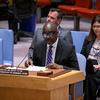 Adedeji Ebo, Director and Deputy to the High Representative of the UN Office for Disarmament Affairs, briefs the Security Council.