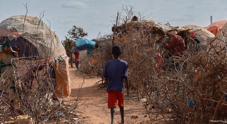 وصل عشرات الآلاف من الأشخاص إلى مواقع النزوح في جميع أنحاء الصومال منذ العام الماضي مع تدهور حالة الجفاف ؛ معظمهم من النساء والأطفال وكبار السن.