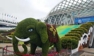在云南举行的联合国《生物多样性公约》缔约方大会第十五次会议会场外。