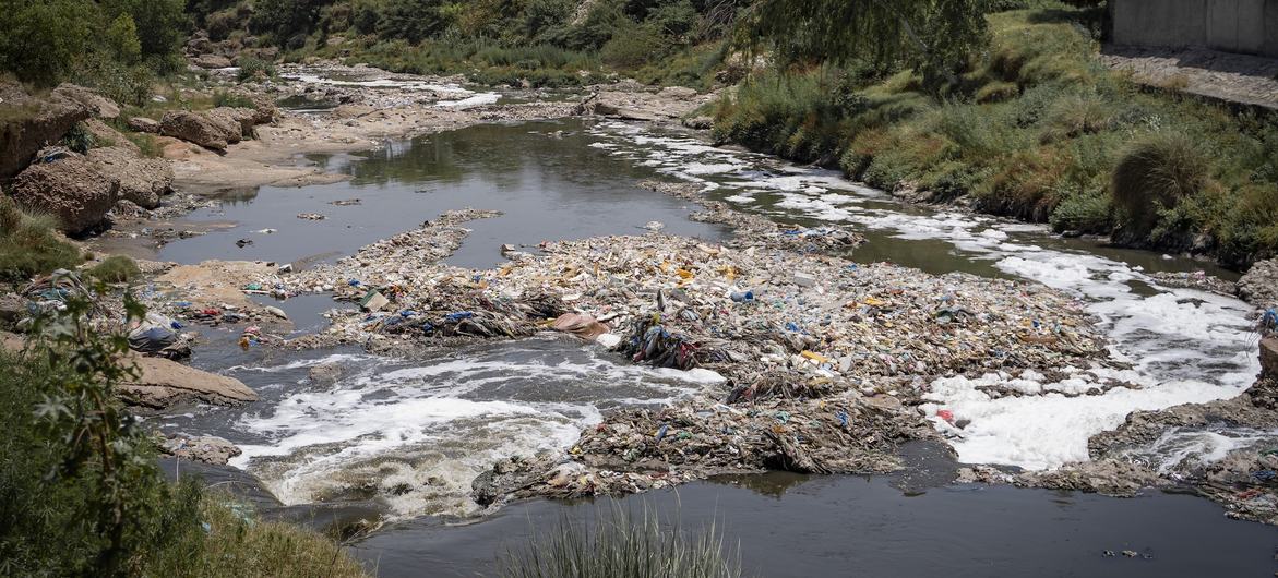 Plastic pollution poses a global threat, devastating ecosystems on land and in water