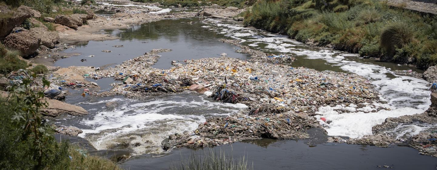 La pollution plastique constitue une menace mondiale, dévastant les écosystèmes terrestres et aquatiques.
