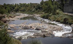 Plastic pollution poses a global threat, devastating ecosystems on land and in water