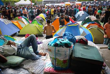  Cientos de migrantes venezolanos varados en Ciudad de Panamá.