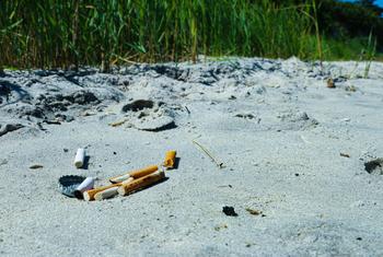 Quando descartadas incorretamente, as bitucas de cigarro são uma forma de poluição plástica que pode prejudicar a vida marinha e envenenar as águas