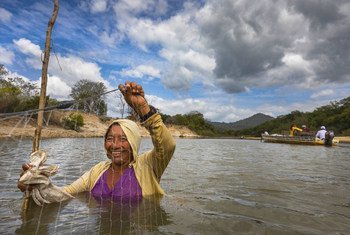 A local woman uses a net to fish in the shallow waters of the Rupununi River in Guyana.