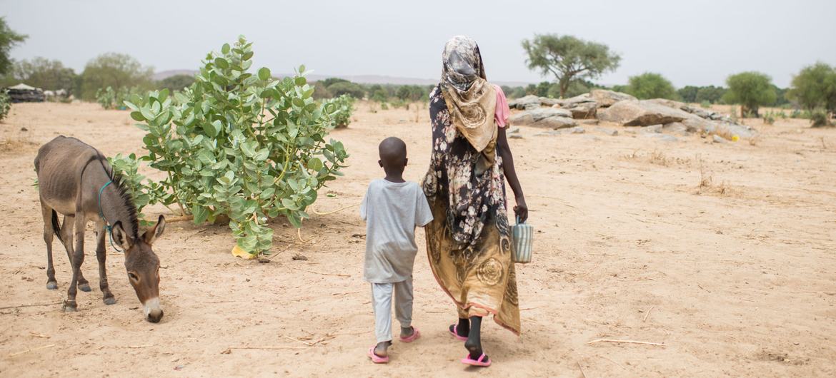 Orang-orang yang terlantar akibat kekerasan di Sudan terus berdatangan di Chad.