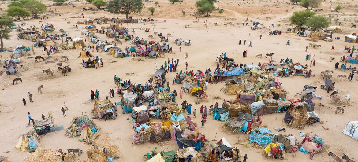 Newly arrived refugees from Sudan establish temporary shelters in Chad.