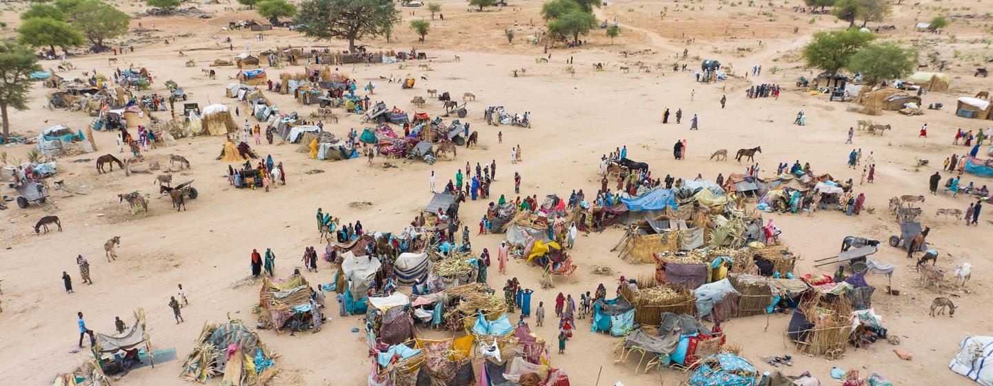 Des réfugiés nouvellement arrivés du Soudan établissent des abris temporaires au Tchad.