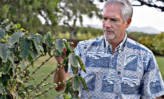 First Person: Innovation brewing at Hawaii coffee farm