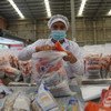 Un trabajador del PMA en un centro logístico de Colombia prepara paquetes de ayuda alimentaria para su distribución en Venezuela.
