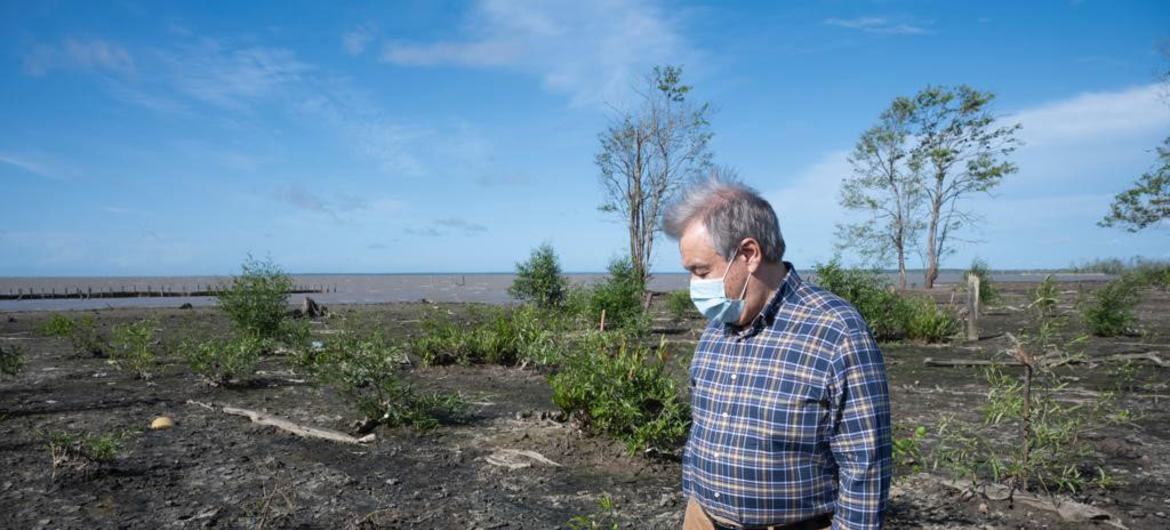 اقوام متحدہ کےسیکرٹری جنرل انتونیو گوتیرش سورینام میں ساحلی جنگلات کی بحالی کے ایک منصوبے کا جائزہ لے رہے ہیں (فائل فوٹو)۔