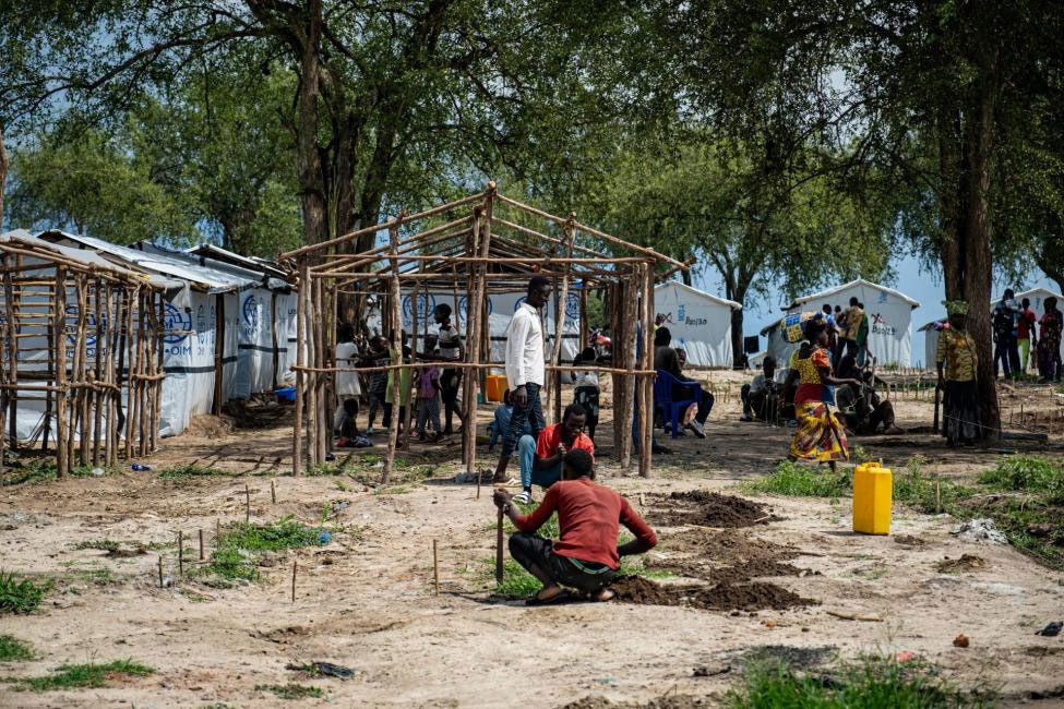 Des personnes ayant fui leurs maisons érigent de nouveaux abris dans l'est de la République démocratique du Congo.