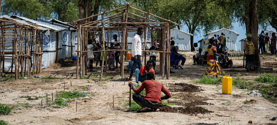 逃离家园的人们在刚果民主共和国东部搭建新的避难所。