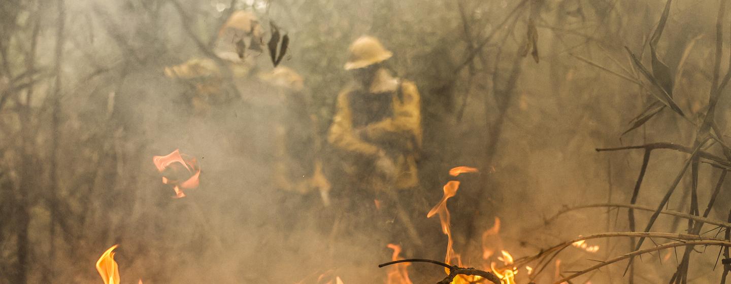 Corumbá (MS), 30/06/2024 - Brigadistas da comunidade quilombola Kalunga, em Goiás, chegam ao Pantanal como reforço na equipe do Prevfogo/Ibama e enfrentam vegetação densa em seu primeiro dia de combate na região