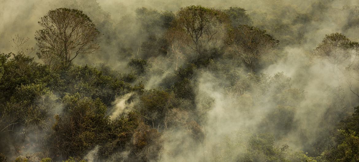 Imagens aéreas mostram áreas devastadas pelo fogo no Pantanal Imagens aéreas mostram áreas devastadas pelo fogo no Pantanal