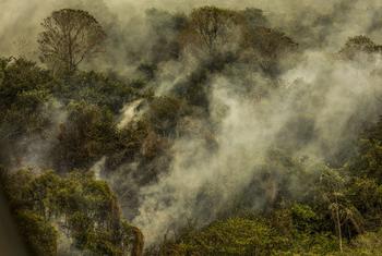 Corumbá, MS, junho de 2024. Imagens aéreas mostram áreas devastadas pelo fogo no Pantanal
