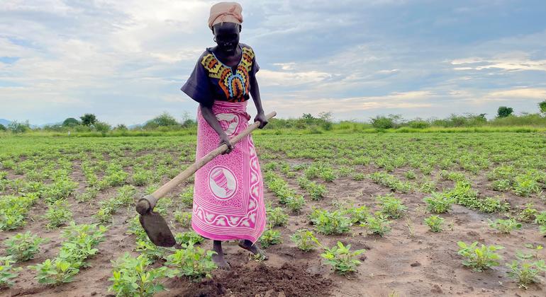 A southern Sudan farmer closing his farm. A southern Sudan farmer closing his farm.