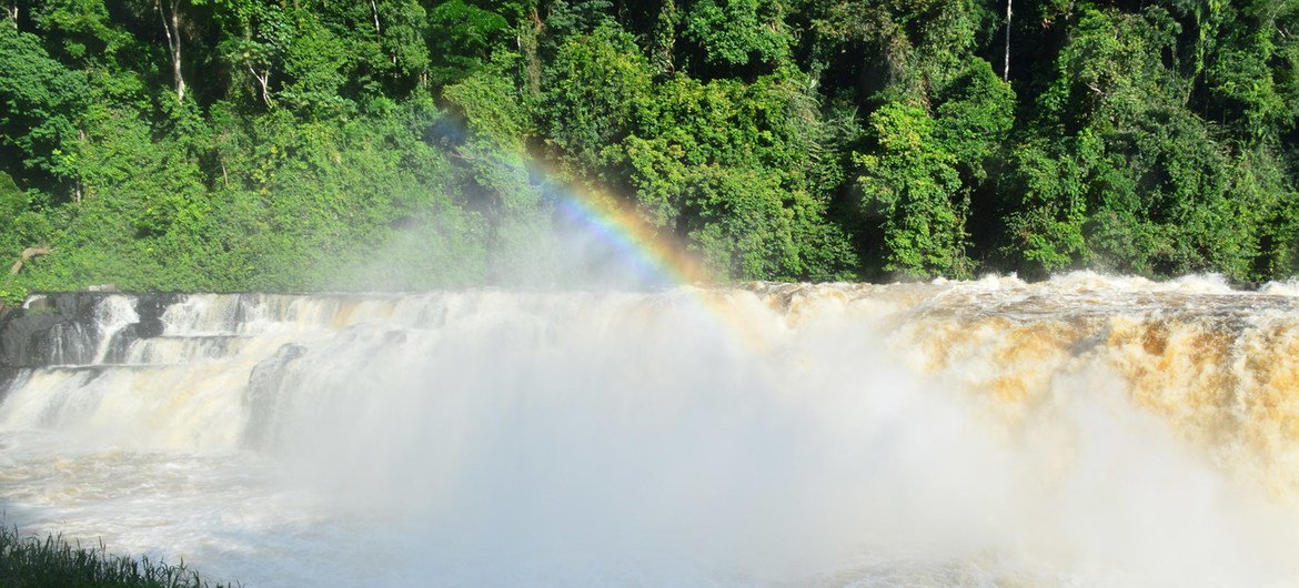 As montanhas são a casa de até 15% de toda a população global e concentram quase metade dos pontos mais importantes da biodiversidade do mundo. São as montanhas também que fornecem água doce, todos os dias, para metade da humanidade.