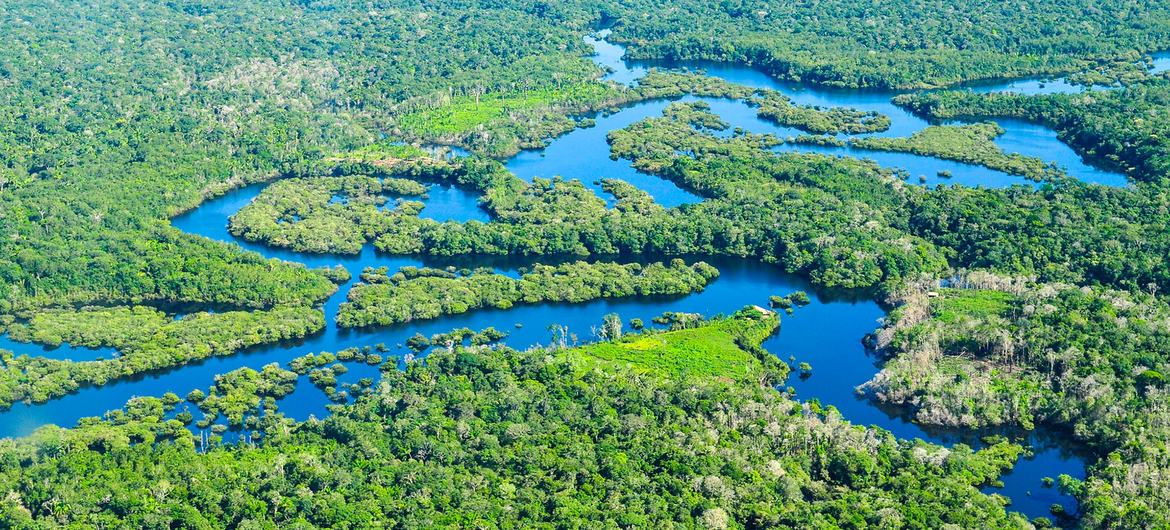 O rio Amazonas no Brasil