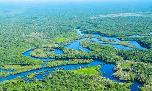 El río Amazonas en Brasil.