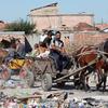 Members of the Roma community in Europe continue to face hardships and discrimination, with many living in poverty. In this file photo, a Roma men and children work at a junkyard in Bulgaria.