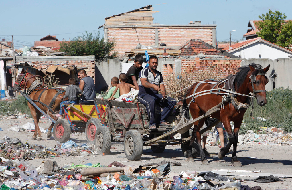 media:entermedia_image:2c6ef4c9-940e-44a5-a171-0ec3cb18d0a2