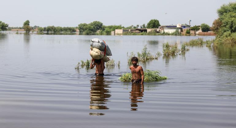 Затопленная деревня в Матиари, в провинции Синд в Пакистане.