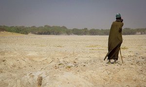 Lake Chad has lost up to ninety per cent of its surface in the last fifty years. 