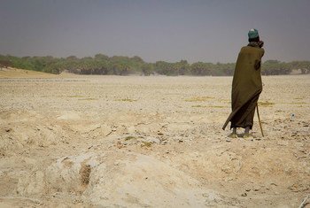 Lake Chad has lost up to ninety per cent of its surface in the last fifty years. 