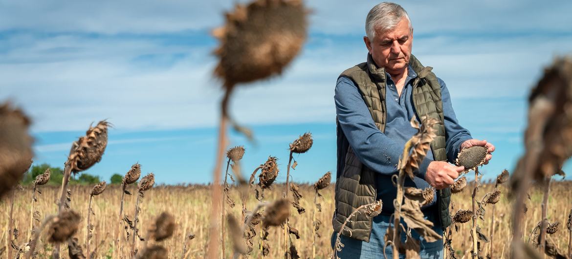 For Ukrainian farmers like Volodymyr Vasyliovych, the war has meant virtual inability to export their produce, with the grim prospect of their harvest spoiling in sheds, while being unable to make necessary investments due to the shrinking revenue.