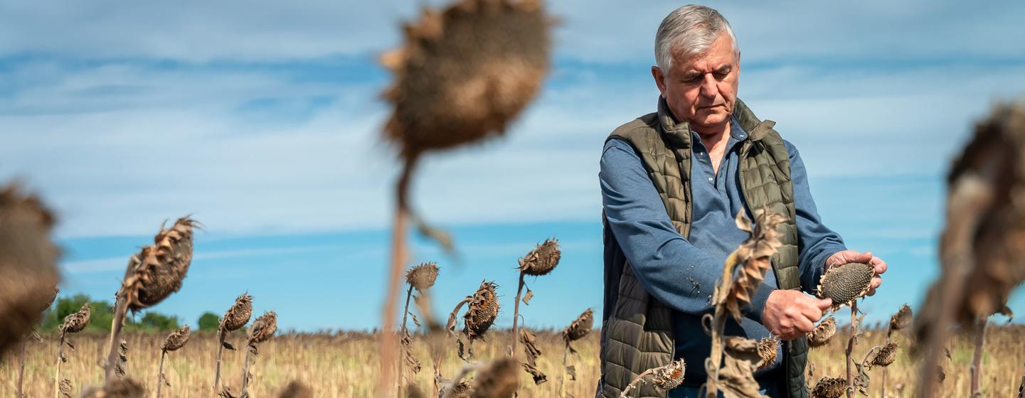 Украинские фермеры такие как Владимир Васильевич столкнулись с серьезными проблемами в связи с войной, в том числе в плане экспорта сельскохозяйственной продукции 