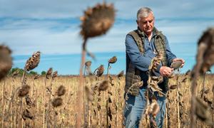 For Ukrainian farmers like Volodymyr Vasyliovych, the war has meant virtual inability to export their produce, with the grim prospect of their harvest spoiling in sheds, while being unable to make necessary investments due to the shrinking revenue.