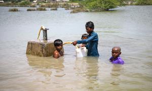 Young boys collect drinking water from a water supply line under flood water in Sindh Province, Pakistan.