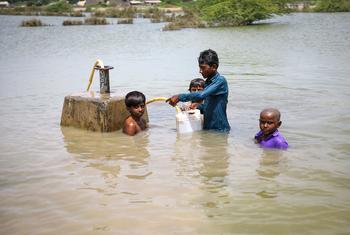 Young boys collect drinking water from a water supply line under flood water in Sindh Province, Pakistan.