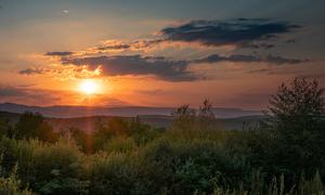 Persistent heatwaves affected parts of Europe from June to August 2022, causing evacuations and heat-related deaths.