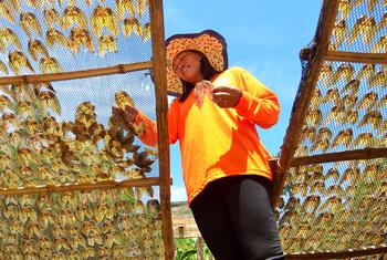 On Santiago Island in Bolinao, Philippines, a woman tends to sun-dried rabbitfish ('danggit'), a livelihood that supports many households.