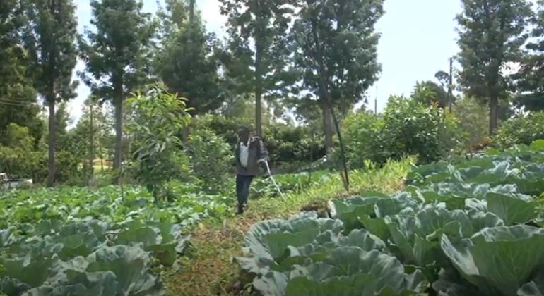 ليونارد موراني أحد المستفيدين من برنامج الإيفاد لإدماج المزارعين ذوي الإعاقة في كينيا