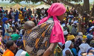 Families gather in northern Mozambique's Nampula Province, after fleeing violence.