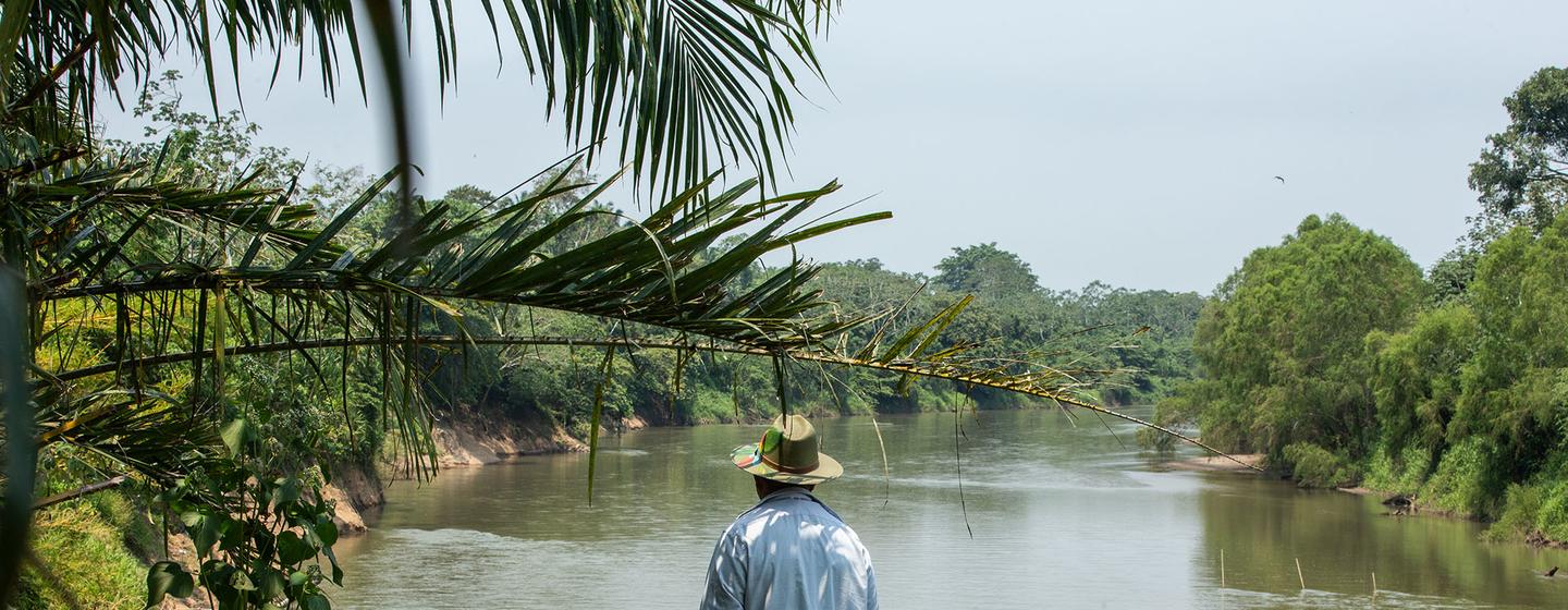 Un granjero que lleva un sombrero y una camisa de color claro se encuentra en una orilla mirando hacia un amplio río en un paisaje tropical.