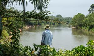 Un campesino mira el río Aguán, cerca de la cooperativa.