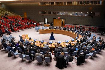 Members of the Security-Council gather for a meeting on the maintenance of international peace and security in the Red Sea.