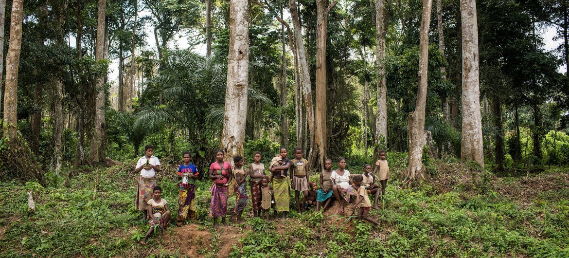 Az erdő helyreállítása utat biztosít a világjárvány felépüléséhez, a zöldebb jövőhöz