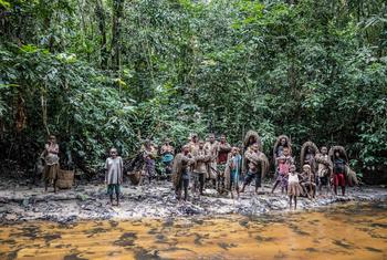 Le peuple Mbuti dans la réserve de faune à okapis en République démocratique du Congo.