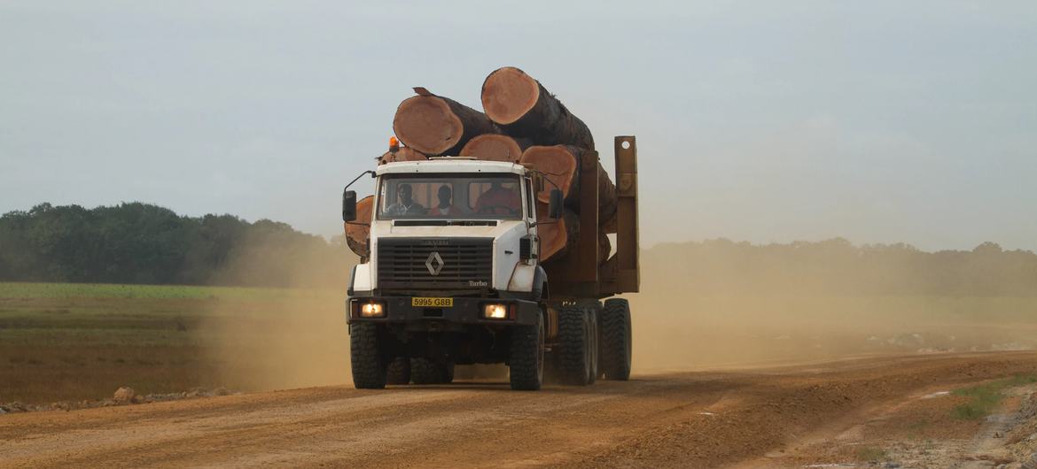 media:entermedia_image:e223e69f-1050-4f0c-8d97-f89338716841