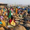 在印度维萨卡帕特南的一个市场上，妇女们在卖鱼干。