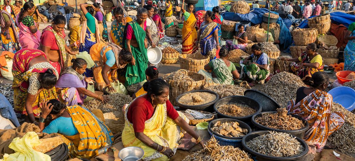 Global food systems ‘broken’, says UN chief, urging transformation in how we produce, consume food — Global Issues