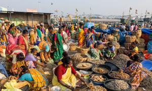 Women sell dried fish at a market in Visakhapatnam, India.
