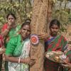 जमुना टुडु, महिलाओं की सेना बनाकर, जंगल माफ़िया से लोहा ले रही हैं.