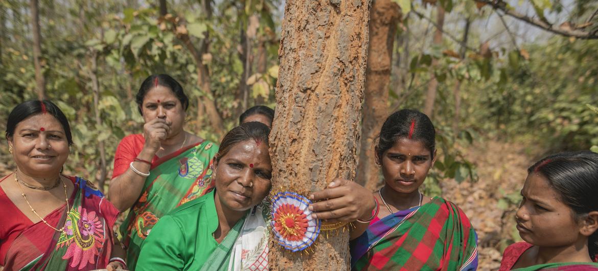जमुना टुडु, महिलाओं की सेना बनाकर, जंगल माफ़िया से लोहा ले रही हैं.
